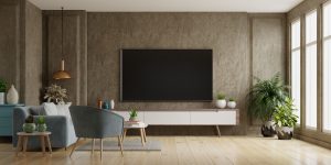 TV Kopen waar moet je om denken Slowfoody